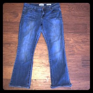 Buckle daytrip Virgo bootcut Jeans